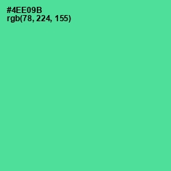 #4EE09B - De York Color Image