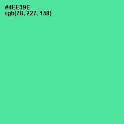 #4EE39E - De York Color Image