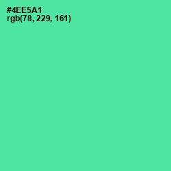 #4EE5A1 - De York Color Image