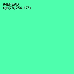 #4EFEAD - De York Color Image