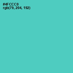 #4FCCC0 - Downy Color Image