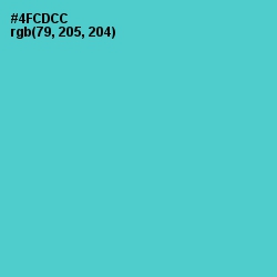 #4FCDCC - Viking Color Image