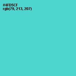 #4FD5CF - Viking Color Image