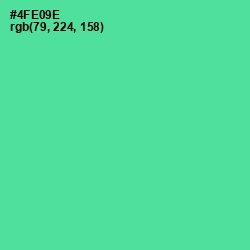 #4FE09E - De York Color Image
