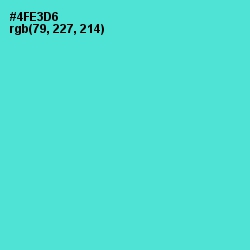 #4FE3D6 - Viking Color Image