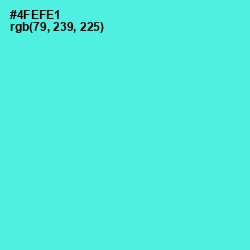 #4FEFE1 - Turquoise Blue Color Image