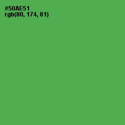 #50AE51 - Fruit Salad Color Image