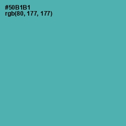 #50B1B1 - Fountain Blue Color Image