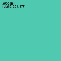 #50C9B1 - De York Color Image