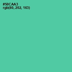 #50CAA3 - De York Color Image