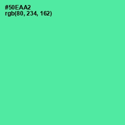 #50EAA2 - De York Color Image