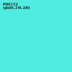 #50ECE2 - Turquoise Blue Color Image