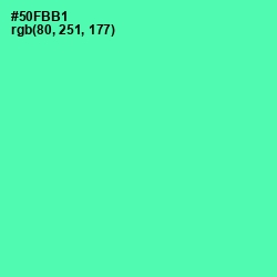 #50FBB1 - De York Color Image