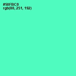 #50FBC0 - Aquamarine Color Image