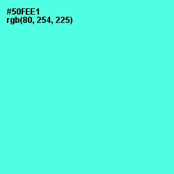#50FEE1 - Turquoise Blue Color Image