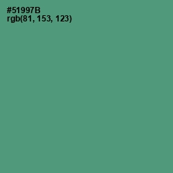 #51997B - Viridian Color Image