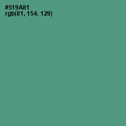 #519A81 - Smalt Blue Color Image