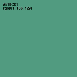 #519C81 - Smalt Blue Color Image