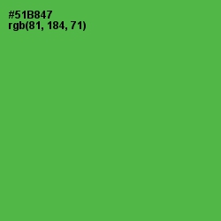 #51B847 - Chateau Green Color Image