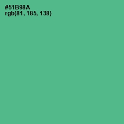 #51B98A - Breaker Bay Color Image