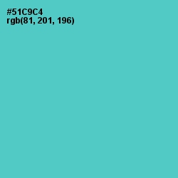 #51C9C4 - Viking Color Image