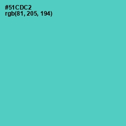 #51CDC2 - Downy Color Image