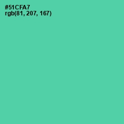 #51CFA7 - De York Color Image