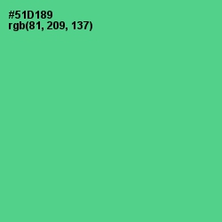 #51D189 - De York Color Image