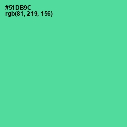 #51DB9C - De York Color Image