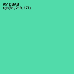 #51DBAB - De York Color Image