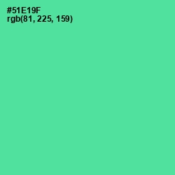 #51E19F - De York Color Image