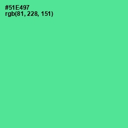 #51E497 - De York Color Image