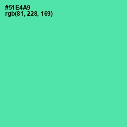 #51E4A9 - De York Color Image