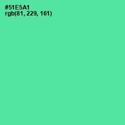 #51E5A1 - De York Color Image