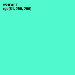 #51FACE - Aquamarine Color Image