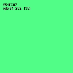 #51FC87 - De York Color Image