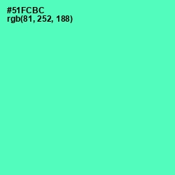 #51FCBC - De York Color Image