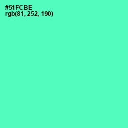 #51FCBE - De York Color Image