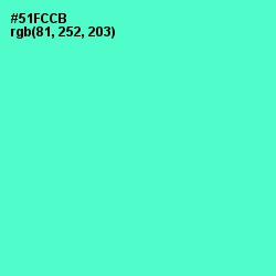 #51FCCB - Aquamarine Color Image