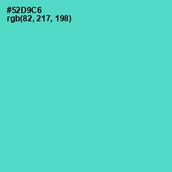 #52D9C6 - Downy Color Image