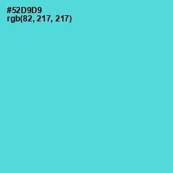 #52D9D9 - Viking Color Image