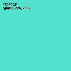 #52E2CE - Viking Color Image