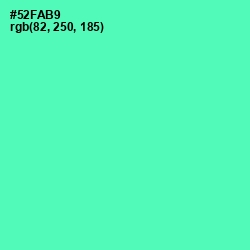 #52FAB9 - De York Color Image