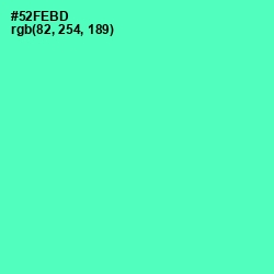 #52FEBD - De York Color Image