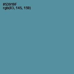 #53919F - Smalt Blue Color Image