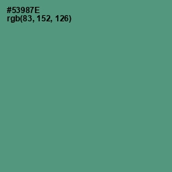 #53987E - Viridian Color Image