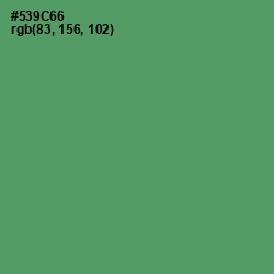 #539C66 - Spring Leaves Color Image