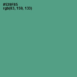 #539F85 - Smalt Blue Color Image