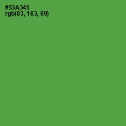 #53A345 - Fruit Salad Color Image