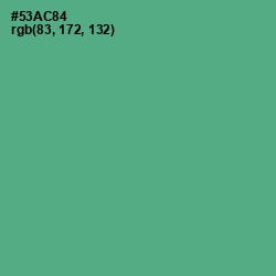 #53AC84 - Breaker Bay Color Image